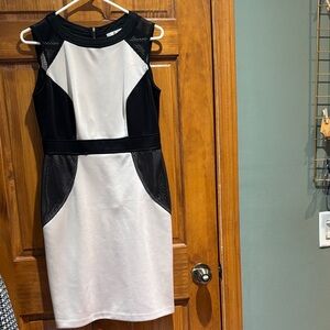 Sandra Darren Black and Cream Mini Dress